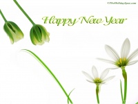 Happy-news-year-2011--38